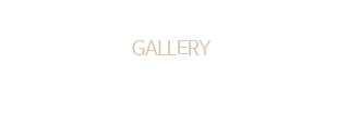 고려대학교 파주아카데미 KMD유소년 축구클럽 
